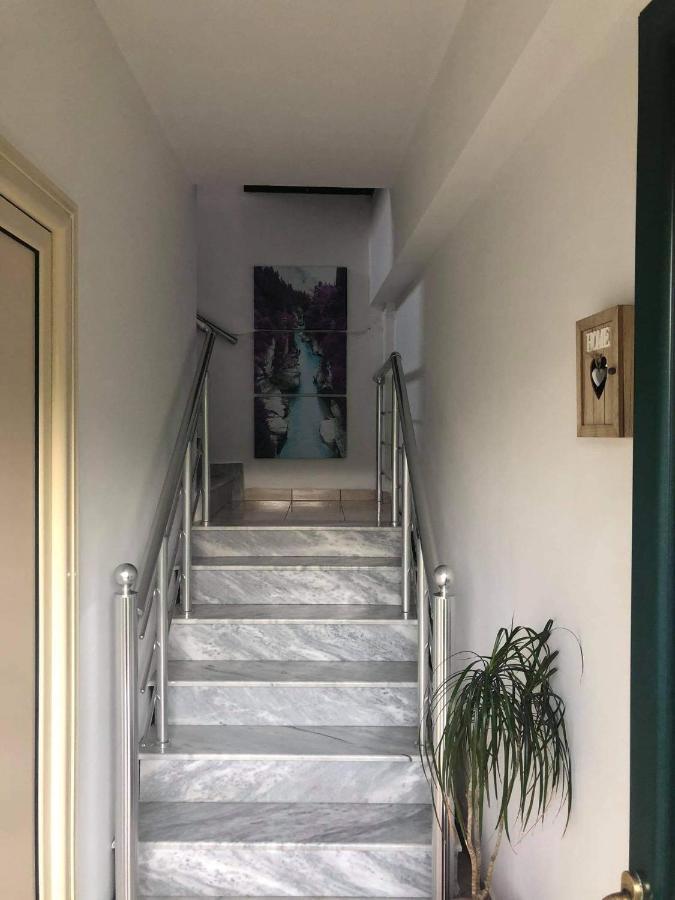 The Olive View Apartment By Ceni, Elbasan Zewnętrze zdjęcie